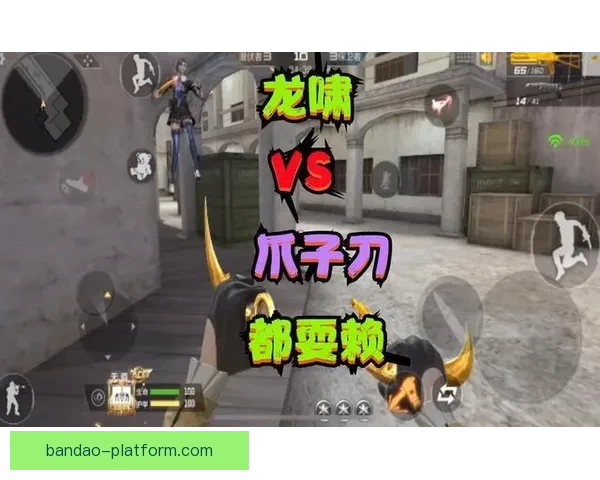 半岛体育入口为核心带你畅享多元化体育娱乐体验